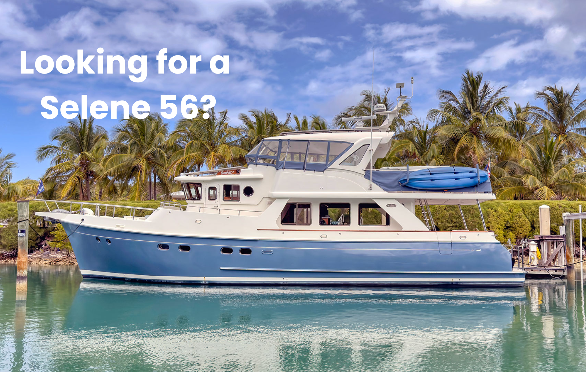 Looking for a Selene 56?