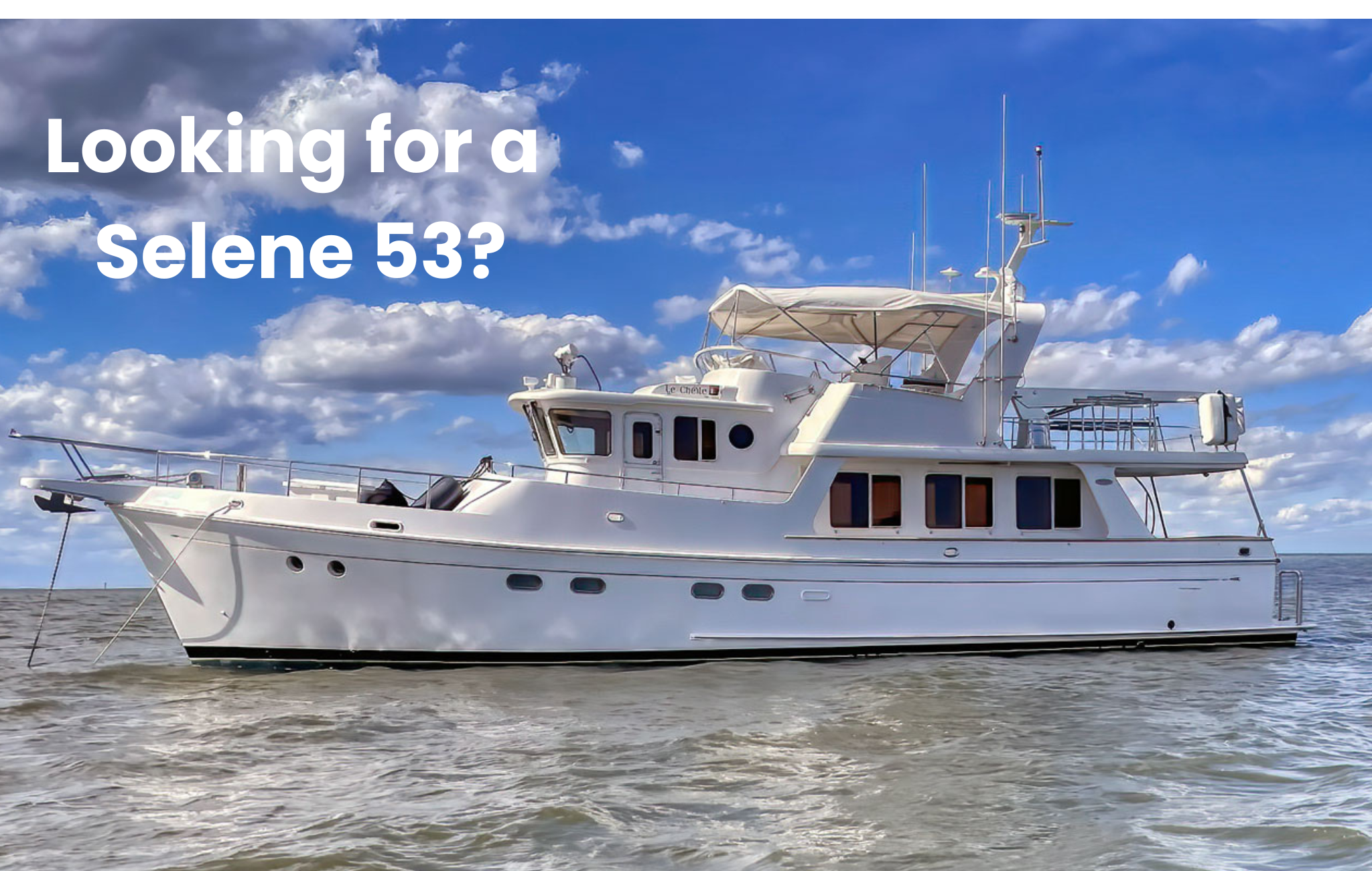 Looking for a Selene 53?