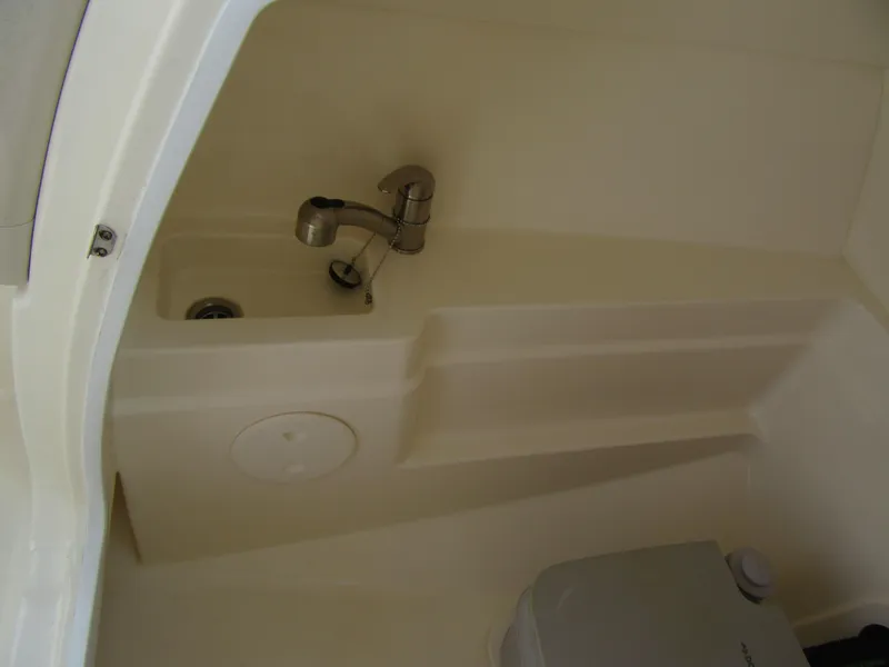 2019 Boston Whaler 230 Vantage