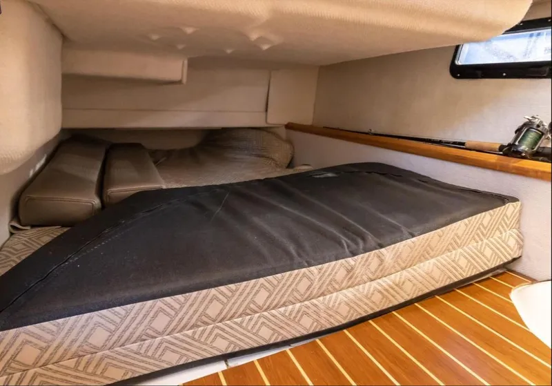 2022 Cutwater C-32 Coupe LE