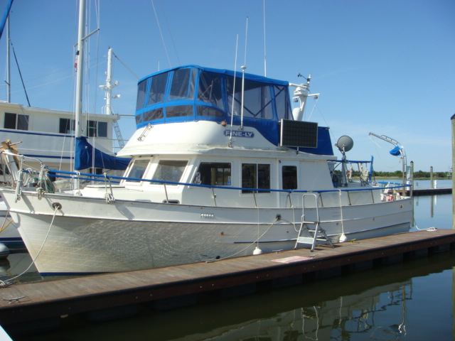 41 Tiger Marine — Fine-LY