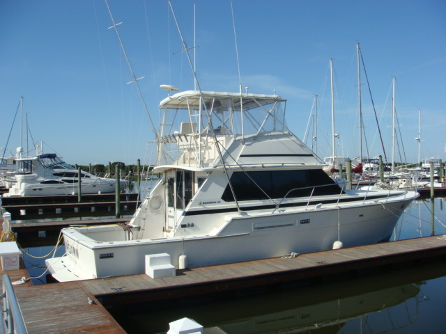 46 Bertram