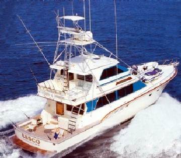 65’ DONZI