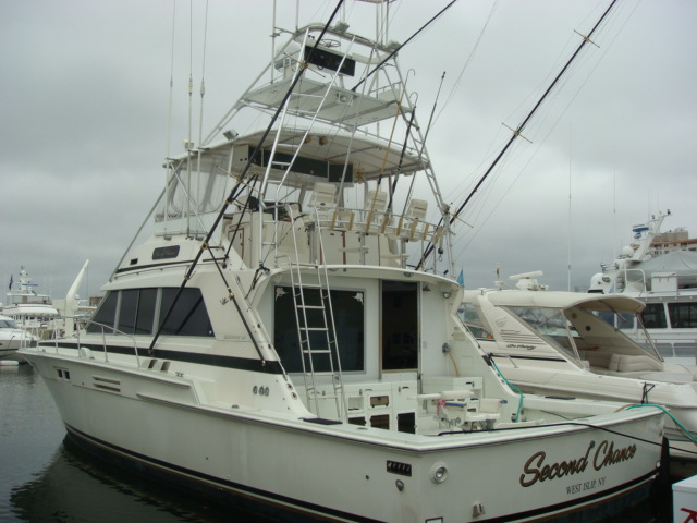 Bertram Sportfish